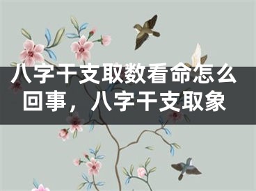八字干支取数看命怎么回事，八字干支取象