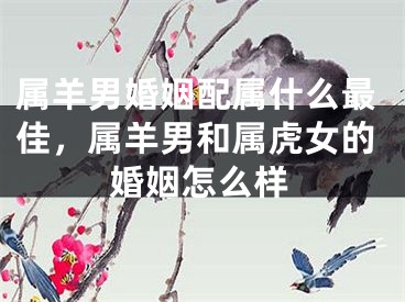 属羊男婚姻配属什么最佳，属羊男和属虎女的婚姻怎么样