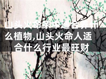 山头火命家中适合养什么植物,山头火命人适合什么行业最旺财