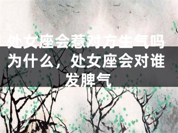 处女座会惹对方生气吗为什么,处女座会对谁发脾气