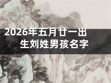 2026年五月廿一出生刘姓男孩名字