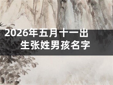 2026年五月十一出生张姓男孩名字