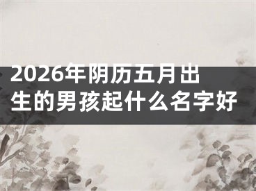 2026年阴历五月出生的男孩起什么名字好