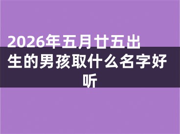 2026年五月廿五出生的男孩取什么名字好听