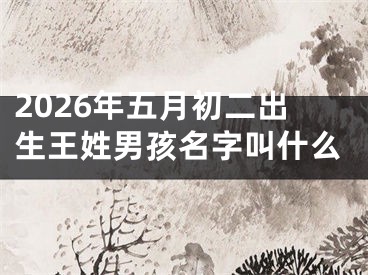 2026年五月初二出生王姓男孩名字叫什么