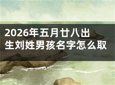 2026年五月廿八出生刘姓男孩名字怎么取