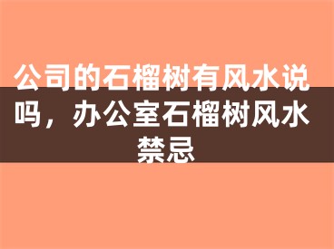 公司的石榴树有风水说吗,办公室石榴树风水禁忌