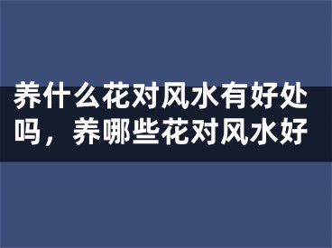 养什么花对风水有好处吗，养哪些花对风水好