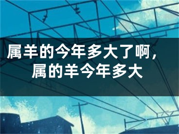 属羊的今年多大了啊，属的羊今年多大