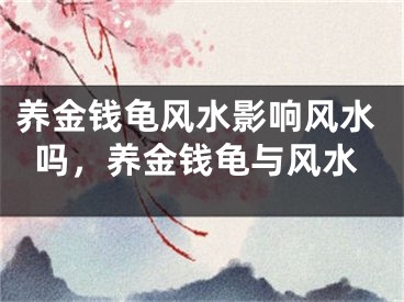 养金钱龟风水影响风水吗,养金钱龟与风水