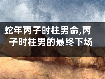 蛇年丙子时柱男命,丙子时柱男的最终下场