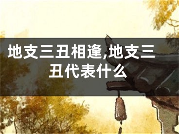 地支三丑相逢,地支三丑代表什么