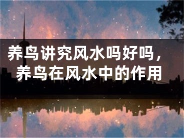 养鸟讲究风水吗好吗，养鸟在风水中的作用