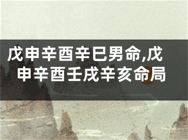戊申辛酉辛巳男命,戊申辛酉壬戌辛亥命局