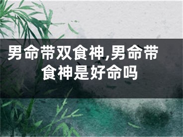 男命带双食神,男命带食神是好命吗