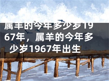 属羊的今年多少岁1967年，属羊的今年多少岁1967年出生