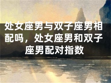 处女座男与双子座男相配吗,处女座男和双子座男配对指数