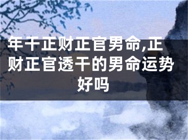 年干正财正官男命,正财正官透干的男命运势好吗