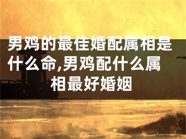 男鸡的最佳婚配属相是什么命,男鸡配什么属相最好婚姻