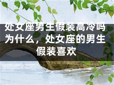 处女座男生假装高冷吗为什么，处女座的男生假装喜欢