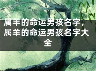 属羊的命运男孩名字，属羊的命运男孩名字大全