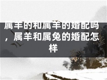属羊的和属羊的婚配吗,属羊和属兔的婚配怎样