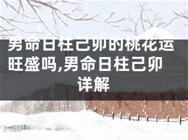 男命日柱己卯的桃花运旺盛吗,男命日柱己卯详解