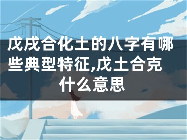 戊戌合化土的八字有哪些典型特征,戊土合克什么意思