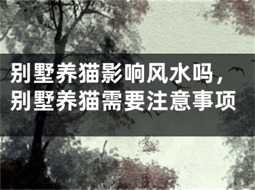 别墅养猫影响风水吗，别墅养猫需要注意事项