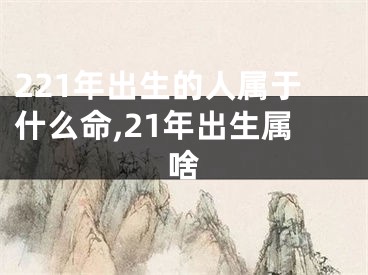 221年出生的人属于什么命,21年出生属啥