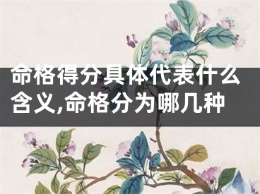 命格得分具体代表什么含义,命格分为哪几种