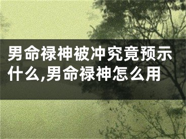 男命禄神被冲究竟预示什么,男命禄神怎么用