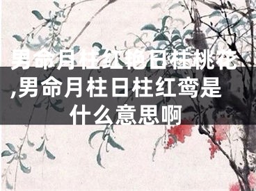 男命月柱红艳日柱桃花,男命月柱日柱红鸾是什么意思啊