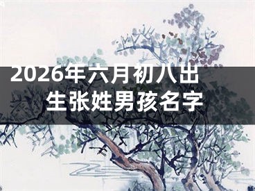 2026年六月初八出生张姓男孩名字