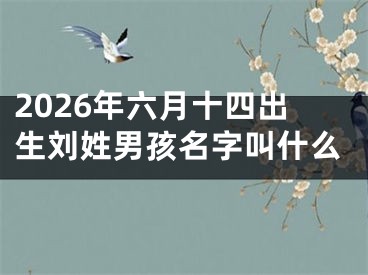 2026年六月十四出生刘姓男孩名字叫什么