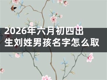 2026年六月初四出生刘姓男孩名字怎么取
