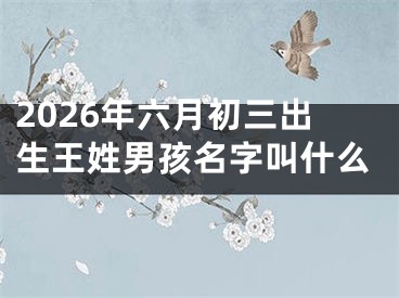 2026年六月初三出生王姓男孩名字叫什么