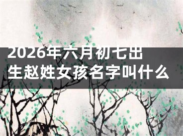 2026年六月初七出生赵姓女孩名字叫什么