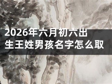 2026年六月初六出生王姓男孩名字怎么取