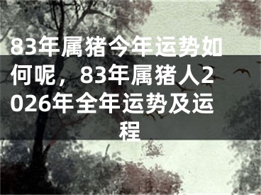 83年属猪今年运势如何呢，83年属猪人2026年全年运势及运程