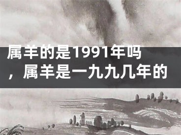 属羊的是1991年吗，属羊是一九九几年的