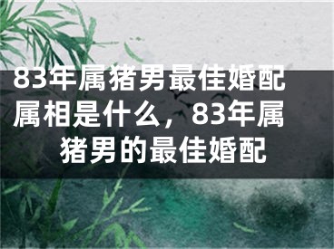 83年属猪男最佳婚配属相是什么，83年属猪男的最佳婚配