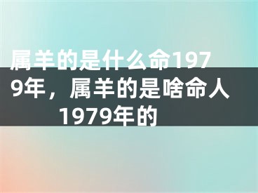 属羊的是什么命1979年，属羊的是啥命人1979年的