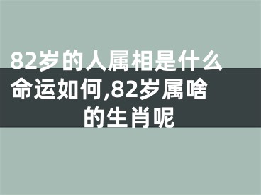 82岁的人属相是什么命运如何,82岁属啥的生肖呢