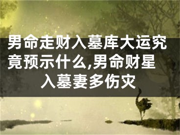 男命走财入墓库大运究竟预示什么,男命财星入墓妻多伤灾