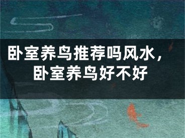 卧室养鸟推荐吗风水,卧室养鸟好不好