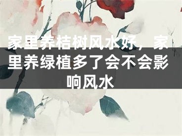家里养桔树风水好,家里养绿植多了会不会影响风水