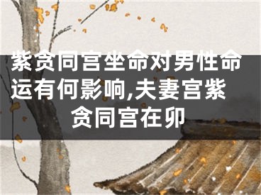 紫贪同宫坐命对男性命运有何影响,夫妻宫紫贪同宫在卯