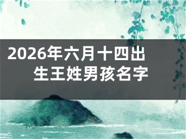 2026年六月十四出生王姓男孩名字