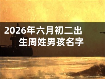 2026年六月初二出生周姓男孩名字
